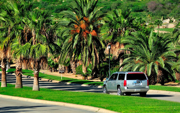 Escalade palms transportation services Cabo Concierge