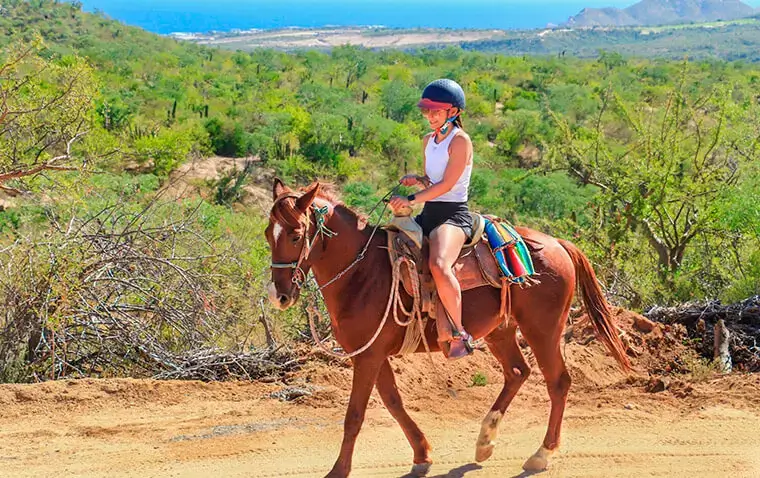 Horseback riding